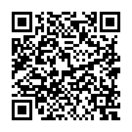 QR code for FRY9838