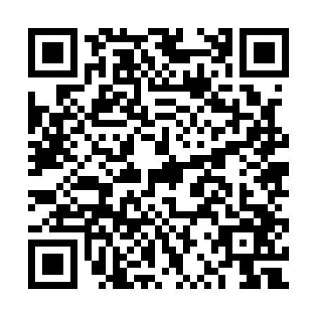 QR code for plate FRZ-1463