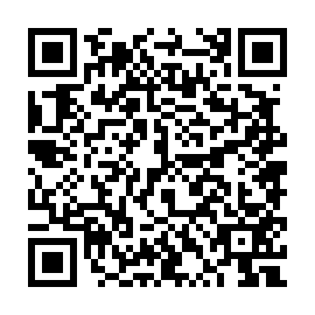 QR code for plate FTN-4538