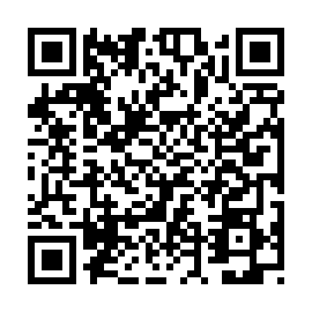 QR code for plate FTN-4685