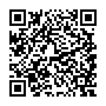 QR code for plate FVF-0863