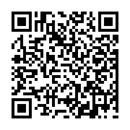QR code for FYF-2403