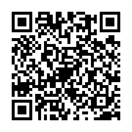 QR code for plate FYL-6334