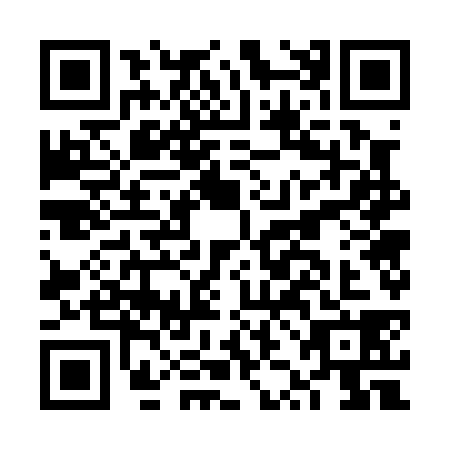 QR code for FZG0381