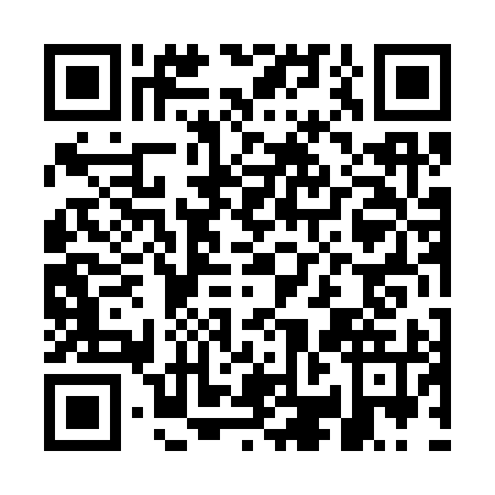 QR code for GBD3958