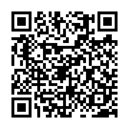 QR code for plate HCC-6029