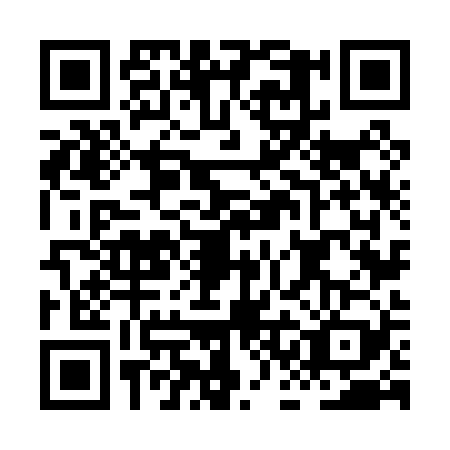QR code for plate HCN-0295