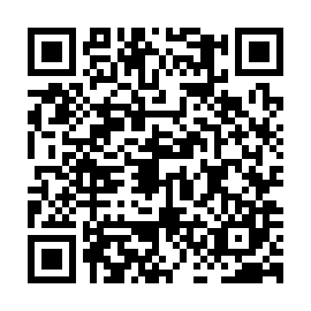 QR code for HCO-3870