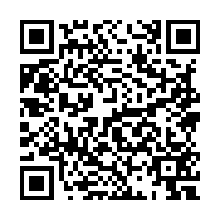 QR code for HCY-9538