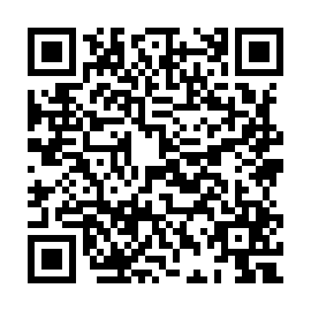 QR code for HDY-9453