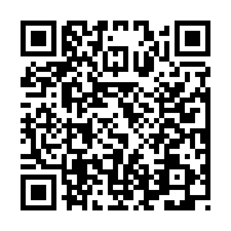 QR code for HFG-1919