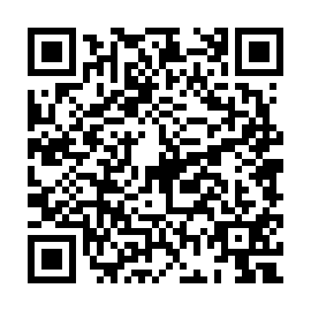 QR code for plate HGT-6111