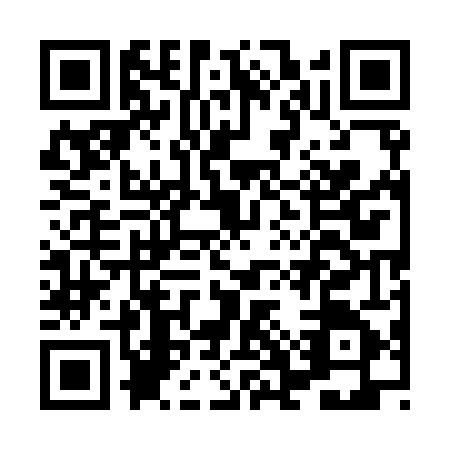 QR code for HGU9453