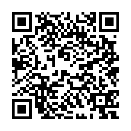 QR code for HHO0317