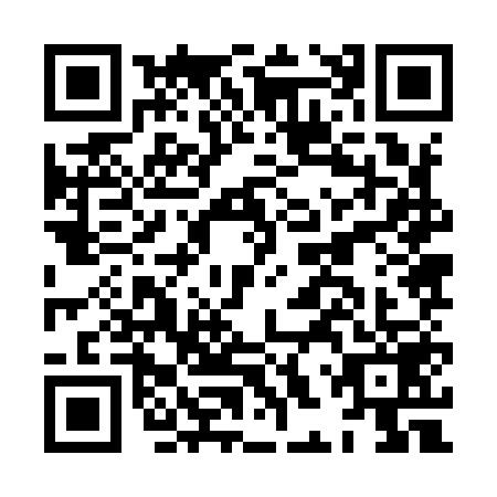 QR code for plate HHZ-9593