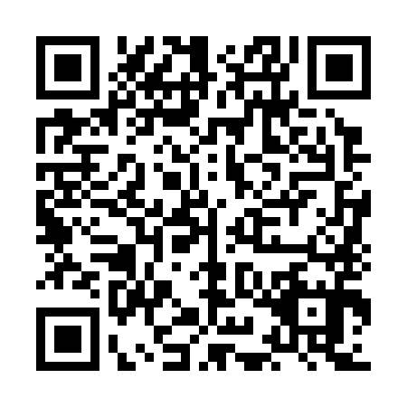QR code for plate HIN-3953