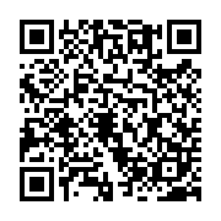 QR code for plate HJC-4029