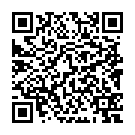 QR code for plate HJL-5338