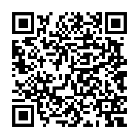 QR code for plate HKT-4217