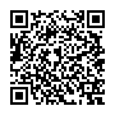 QR code for plate HLJ-4203