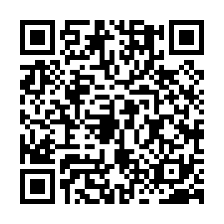 QR code for HNX-0313