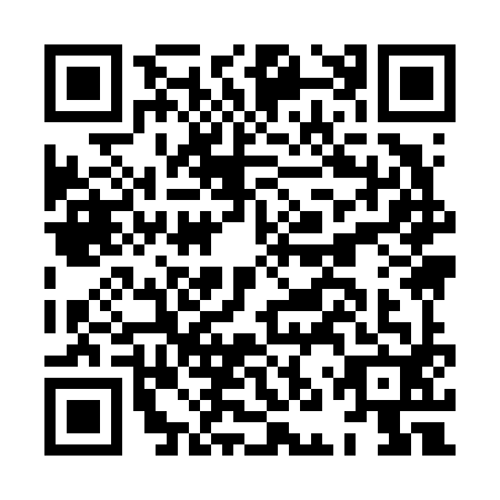 QR code for HNY-6926