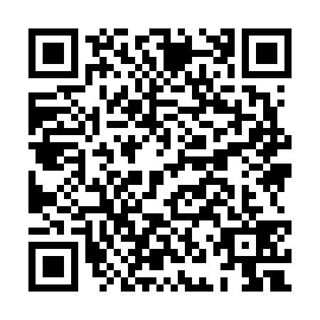QR code for HNY6391