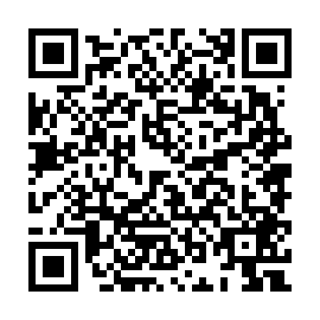 QR code for plate HON-6497