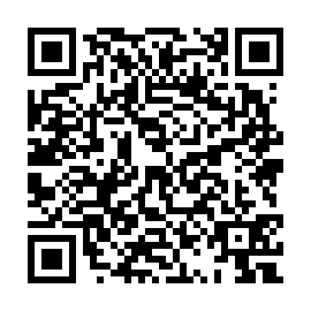 QR code for HQM-6317
