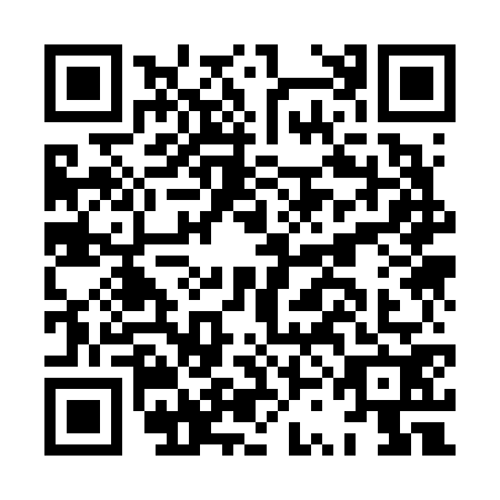 QR code for plate HSK-6729