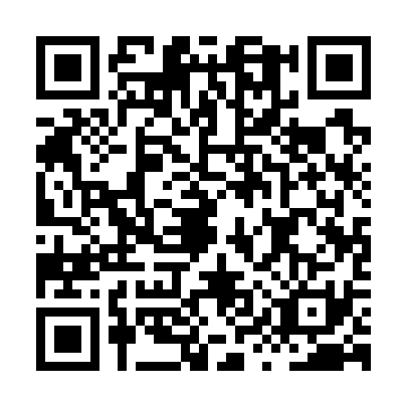 QR code for HYQ7317