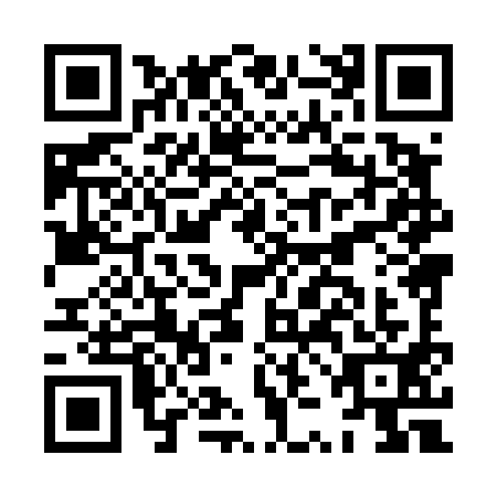 QR code for HZH-4919