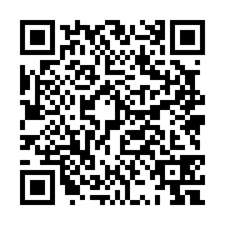 QR code for HZM0386