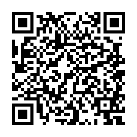 QR code for plate HZO-0810