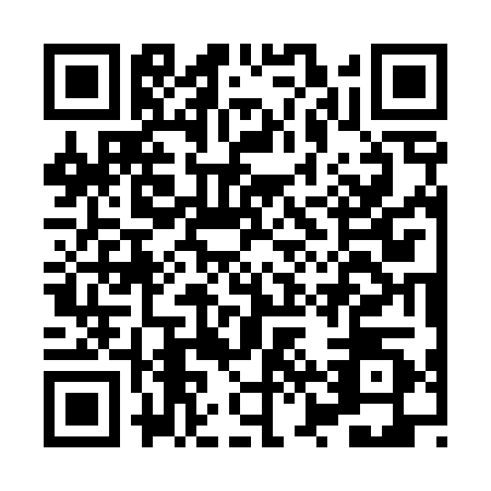 QR code for plate HZS-4206