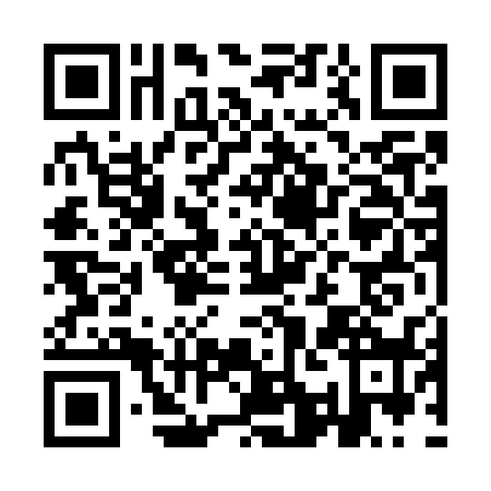 QR code for plate IAN-7381