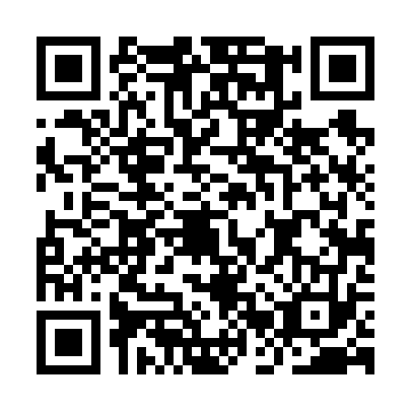 QR code for plate IBT-6733