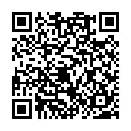 QR code for IBV0345