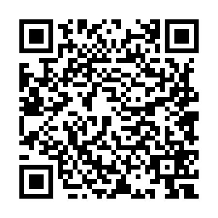 QR code for ICD-9696