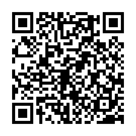 QR code for plate ICD-0728