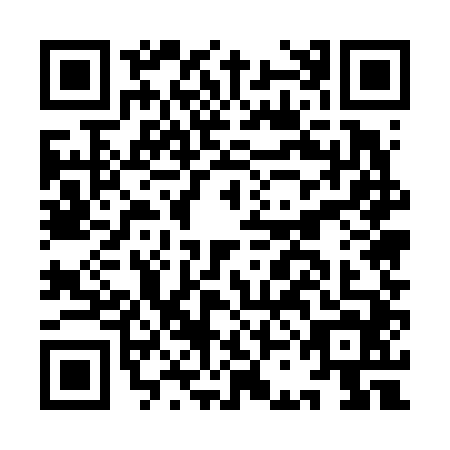 QR code for ICE-6447