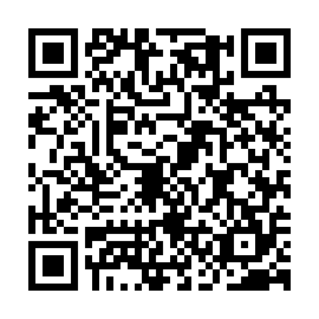 QR code for ICM-2541