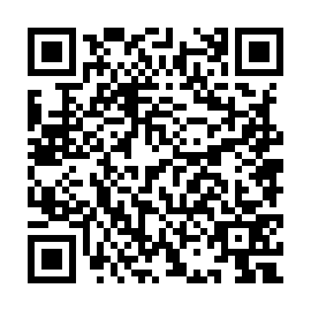 QR code for ICN9738
