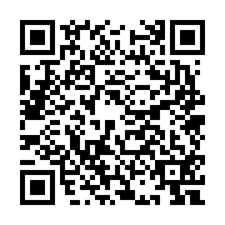 QR code for ICO-6125