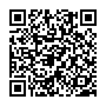 QR code for ICV1294