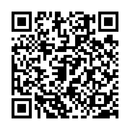 QR code for ICW6394