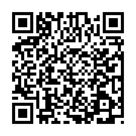 QR code for plate IEF-8471