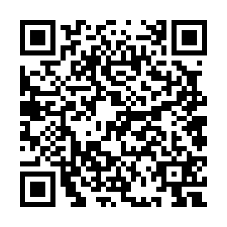 QR code for IFV0216