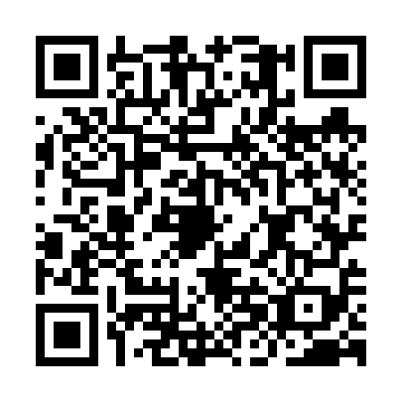 QR code for plate IHO-6599
