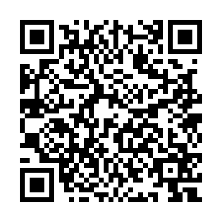 QR code for IIC-1668
